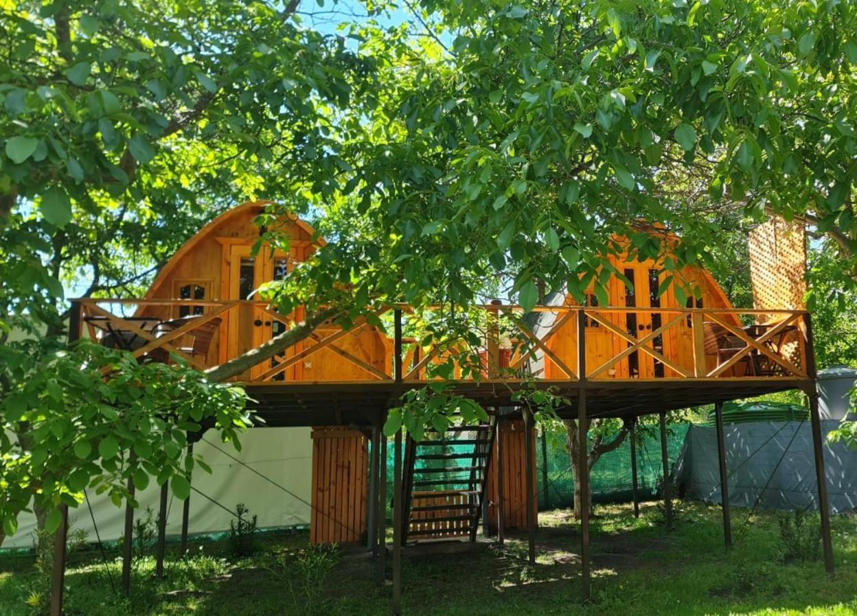 Cabanas Penaflor Glamping Dış mekan fotoğraf