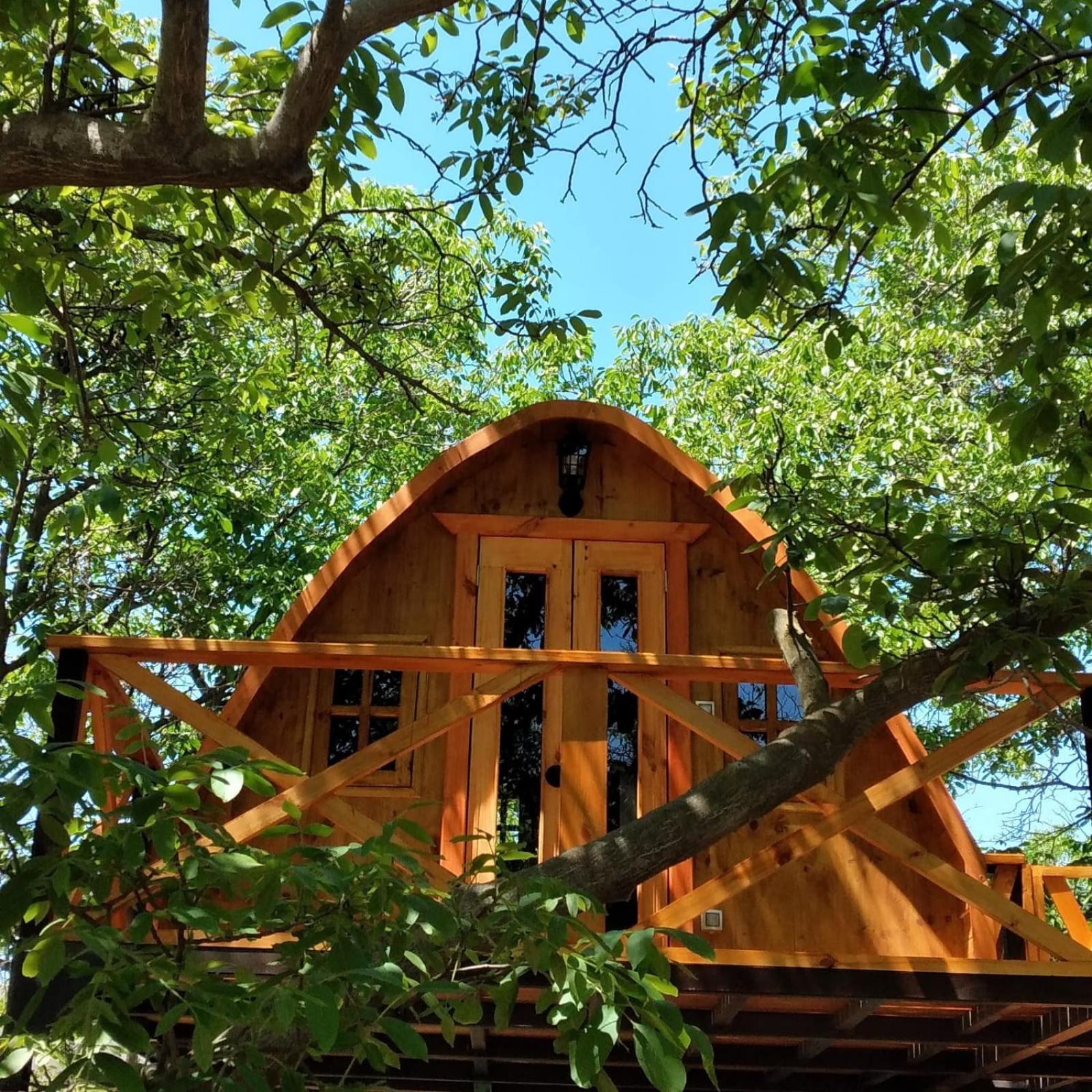 Cabanas Penaflor Glamping Dış mekan fotoğraf